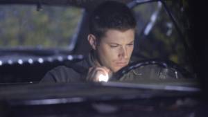 Vestígios de Família