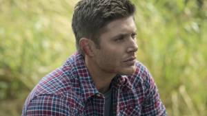 Fique Calmo e Vá em Frente