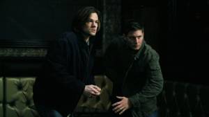 O Melhor Amigo do Homem com Benefícios