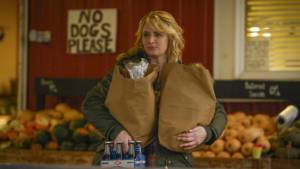 Mercadoria Danificada