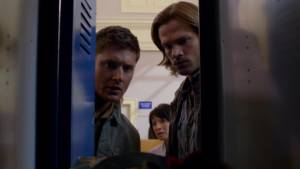 E Aí, Mamãe Tigre!