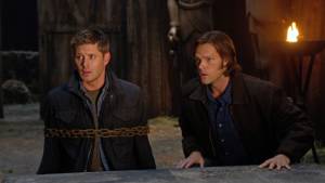 Defendendo a sua Vida