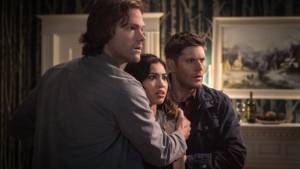 Gravetos & Barbante & Tasha Banes